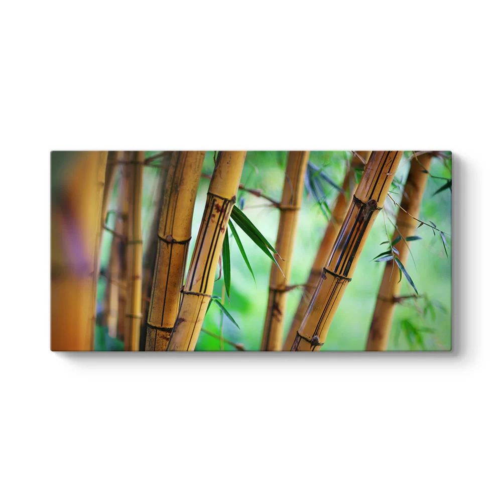 Bambu Ağaçları Tablosu - Model 5